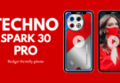 Techno Spark 30 Pro Price (2024)